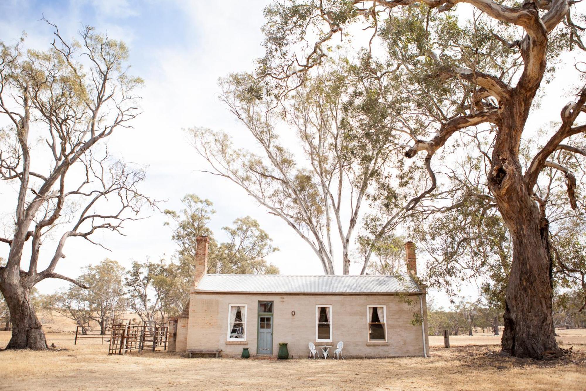 Ravenswood Homestead Exteriör bild