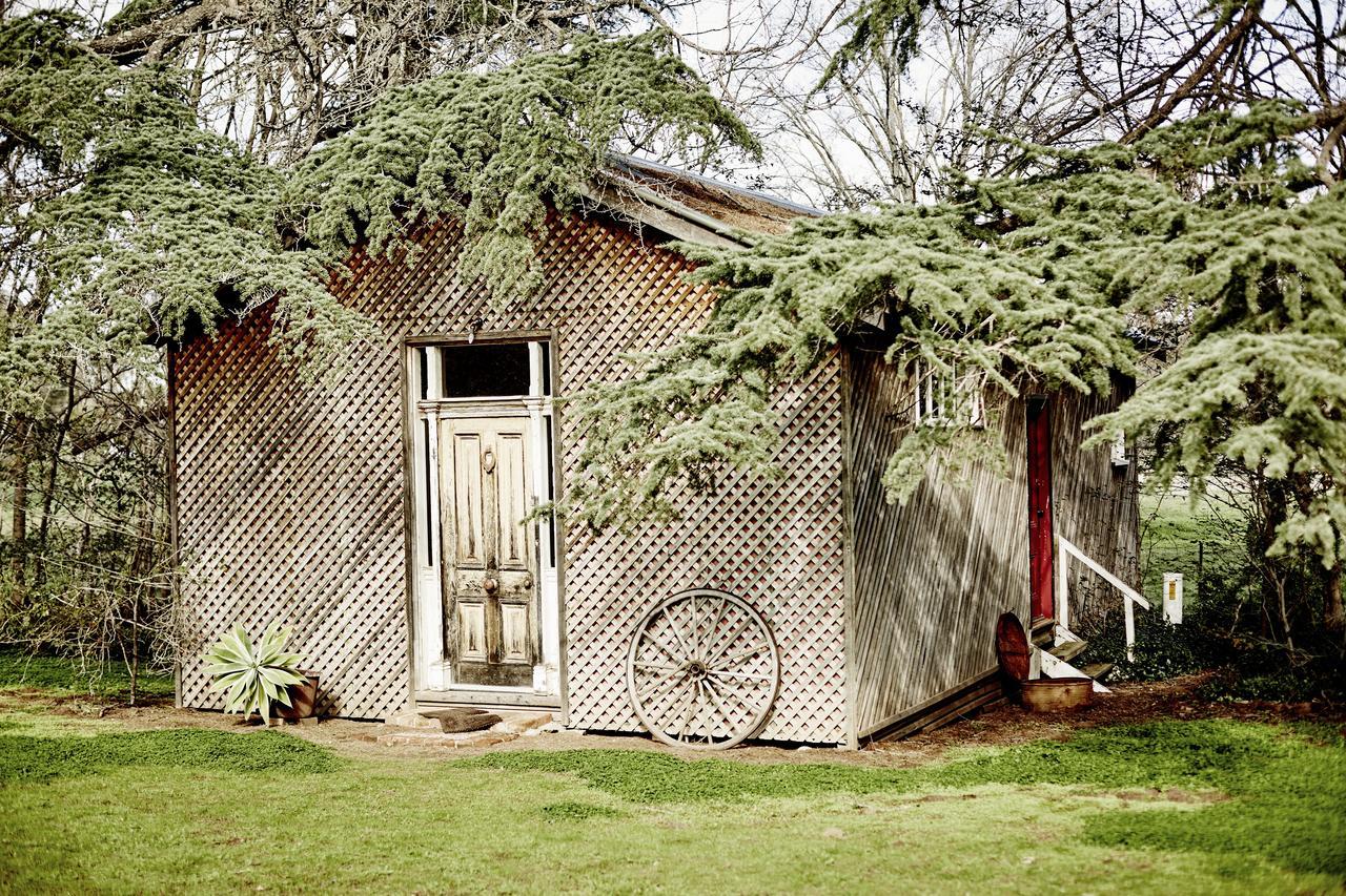 Ravenswood Homestead Exteriör bild
