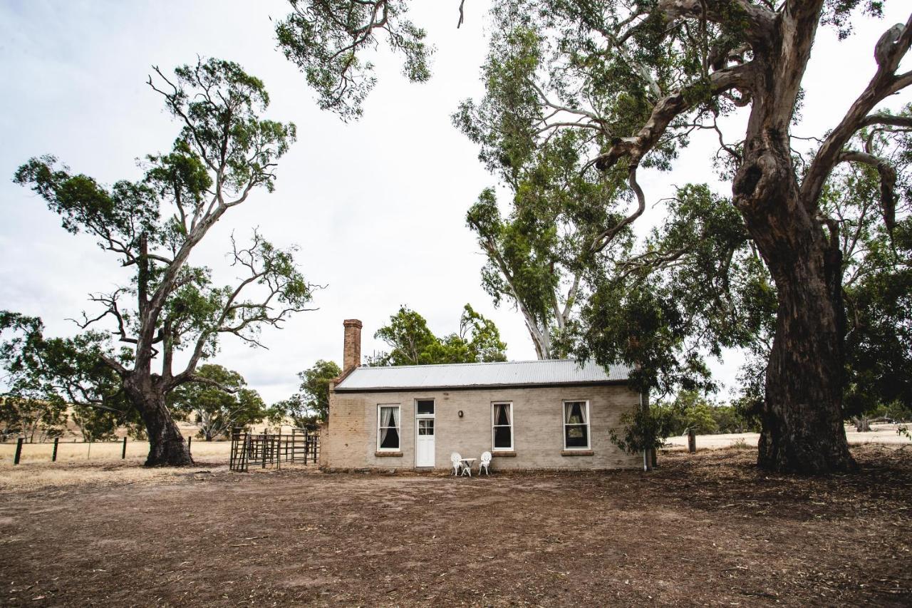 Ravenswood Homestead Exteriör bild